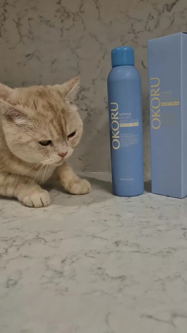 @cat_yondu이 올린 뷰이뷰이 태그 게시물