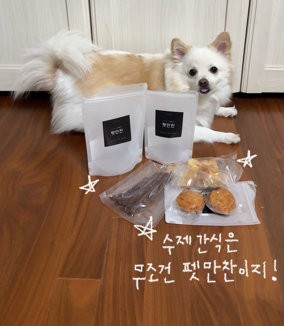 @bomzzip이 올린 펫만찬 태그 게시물