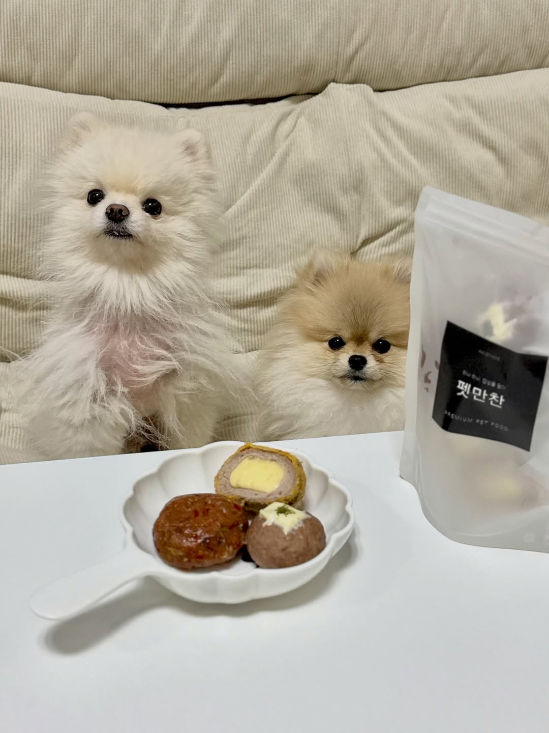 @miiiu__s이 올린 펫만찬 태그 게시물