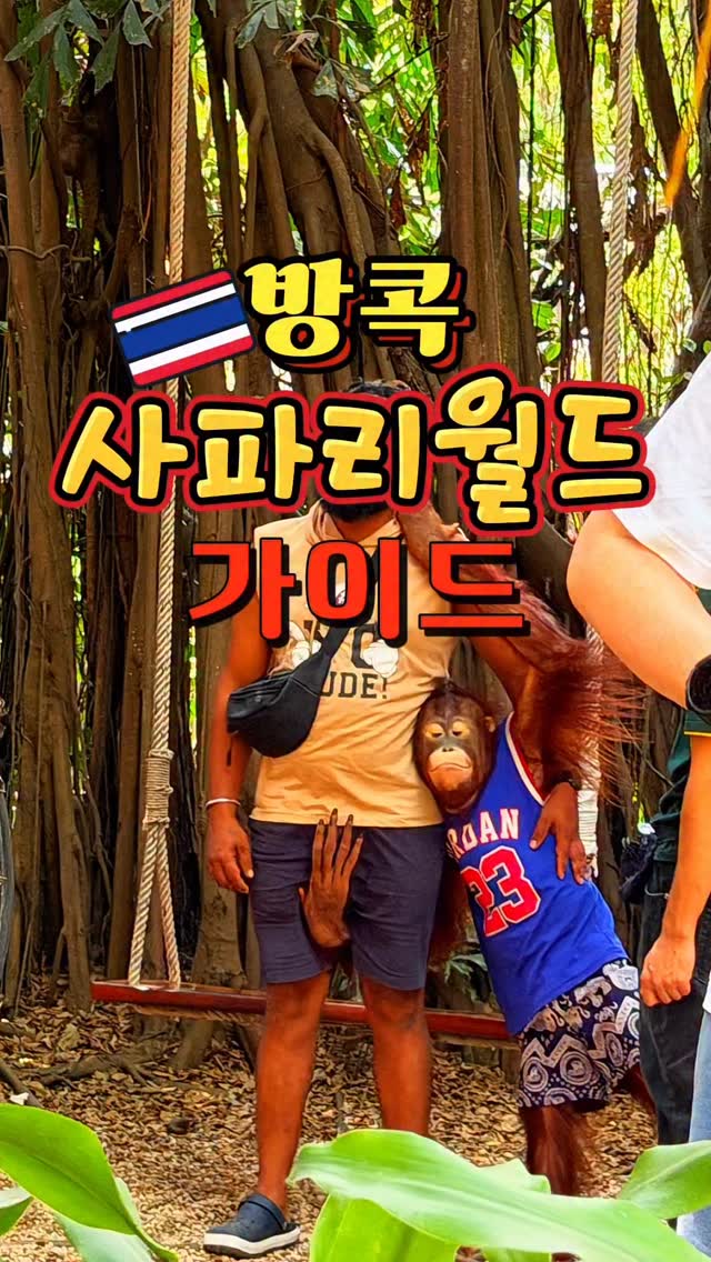 @travel_all_korea이 올린 몽키트래블 태그 게시물