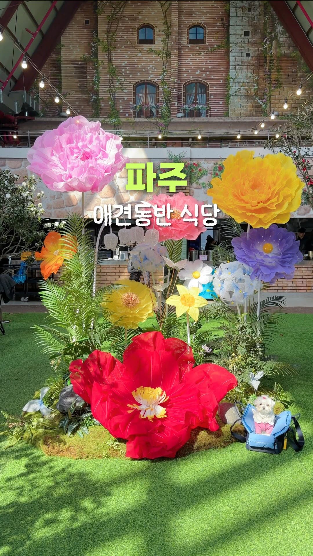 @seodong_love이 올린 동백온실 태그 게시물