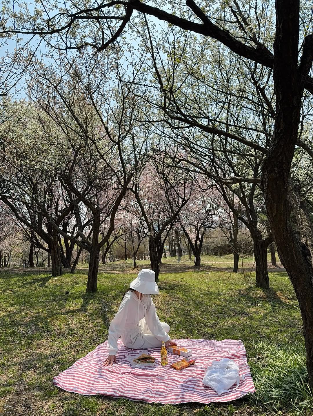 @pieces___s이 올린 생미쉘 태그 게시물