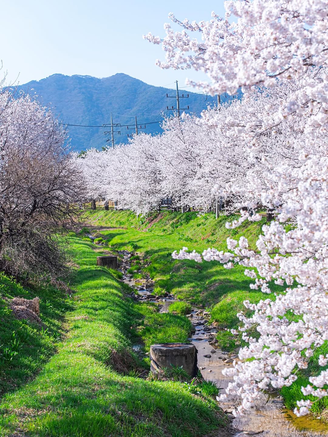 @travelerhyeop이 올린 증평군청 태그 게시물