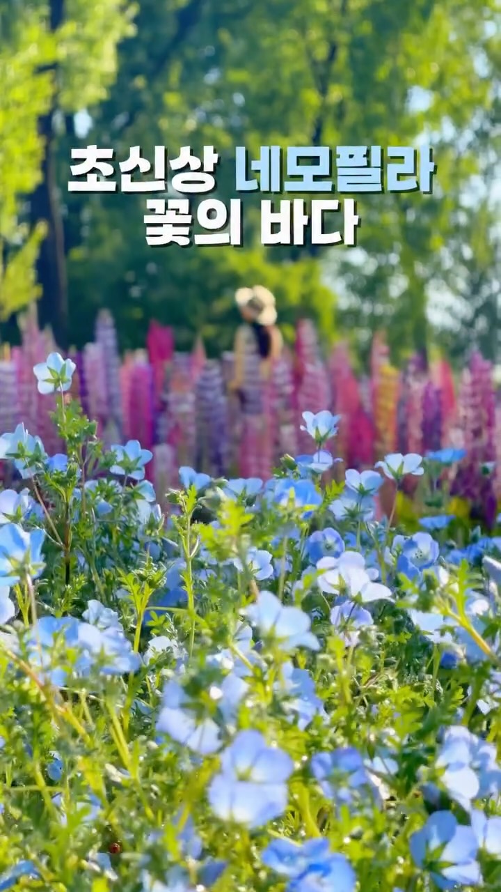 @travel_yunseul이 올린 증평군청 태그 게시물