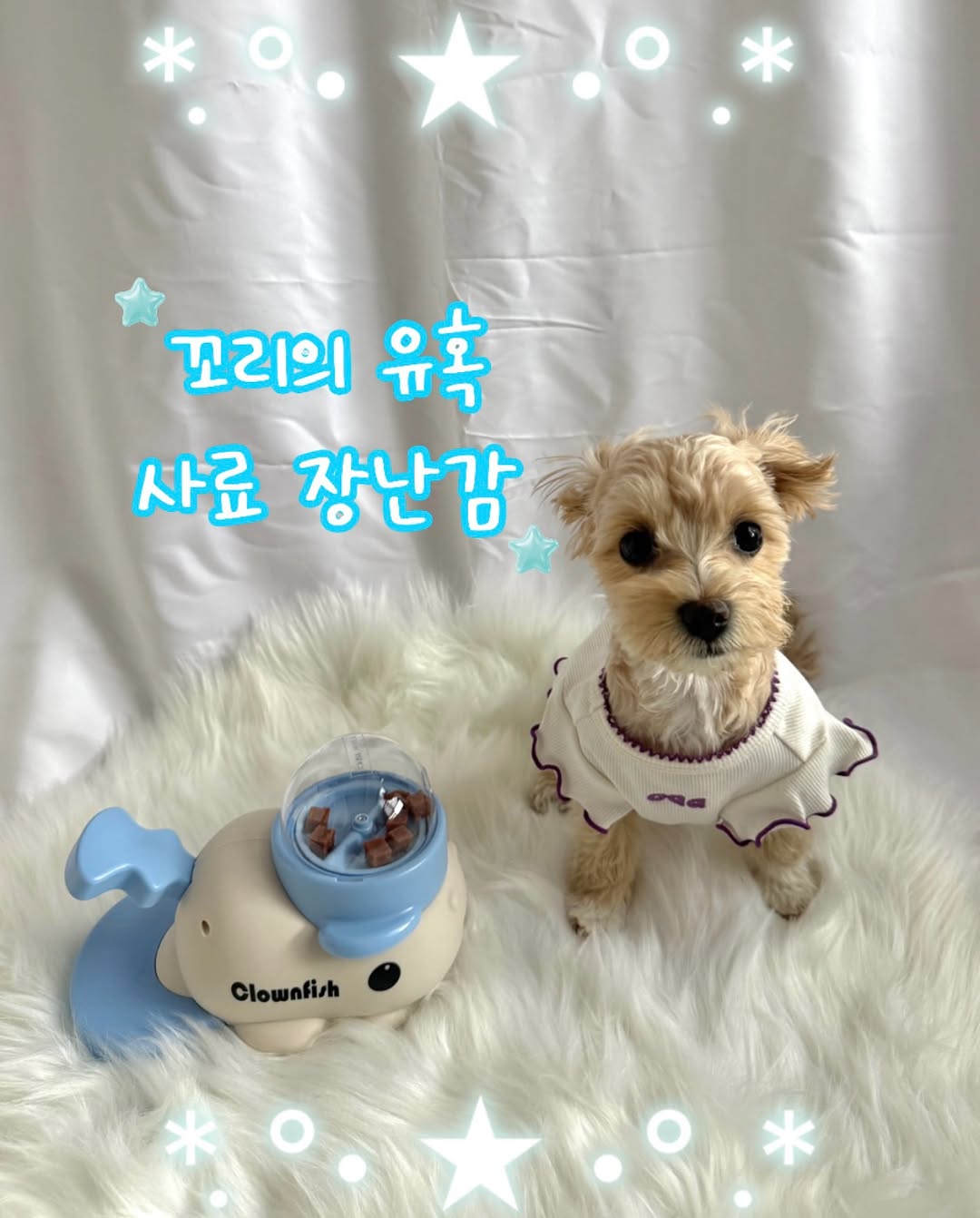 @j_ggamja이 올린 꼬리의유혹 태그 게시물