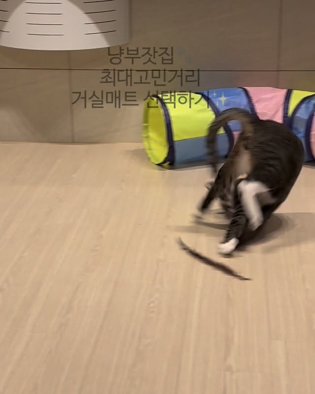 @palbok_mama이 올린 비엔메이드 태그 게시물