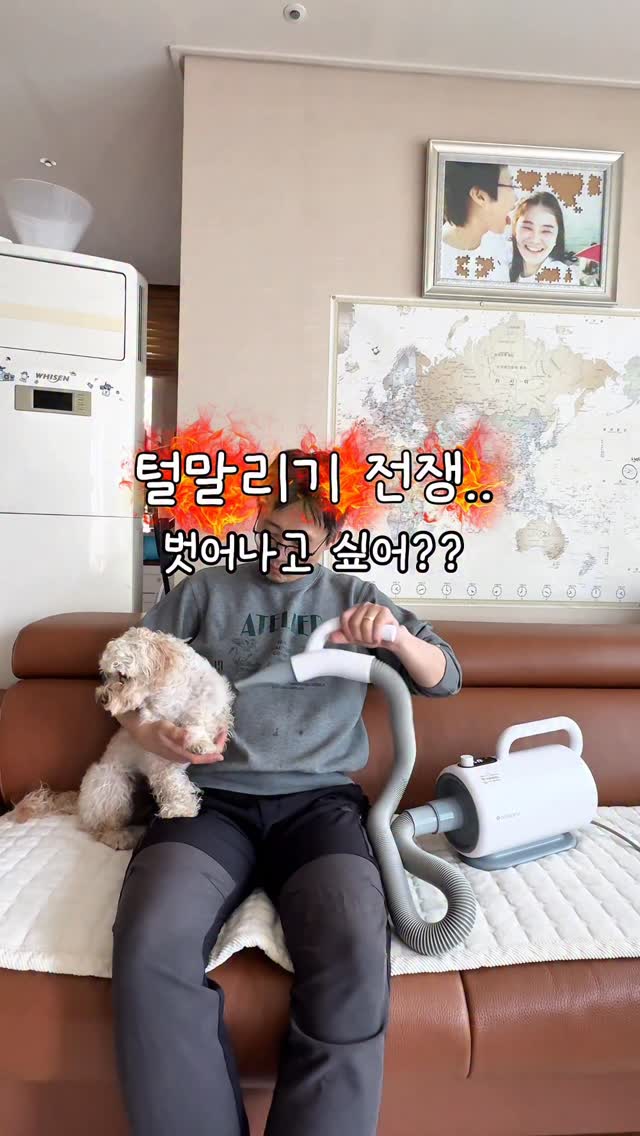 @minahjjang이 올린 코코시루 태그 게시물