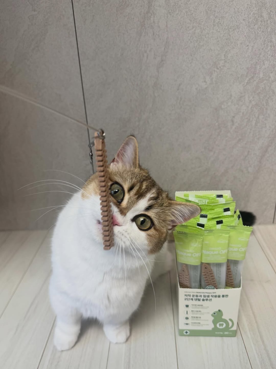 @cun_munchkin이 올린 뉴트리오 태그 게시물