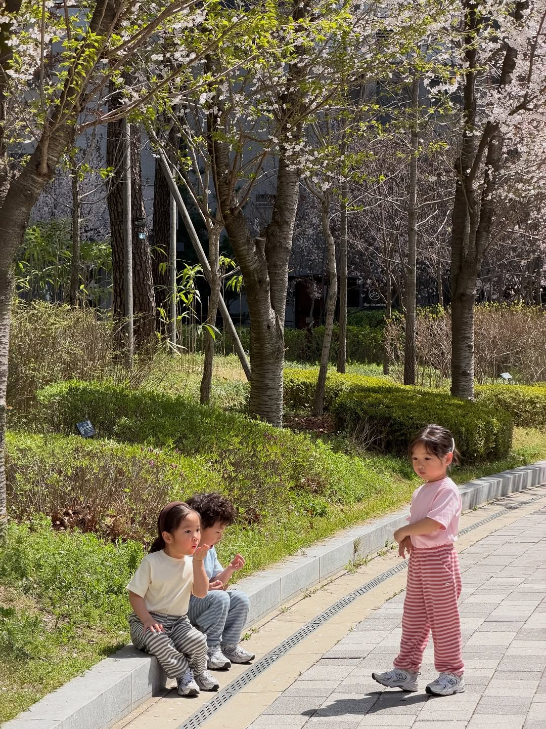 @dearmyrodoong이 올린 AUkids_ 태그 게시물