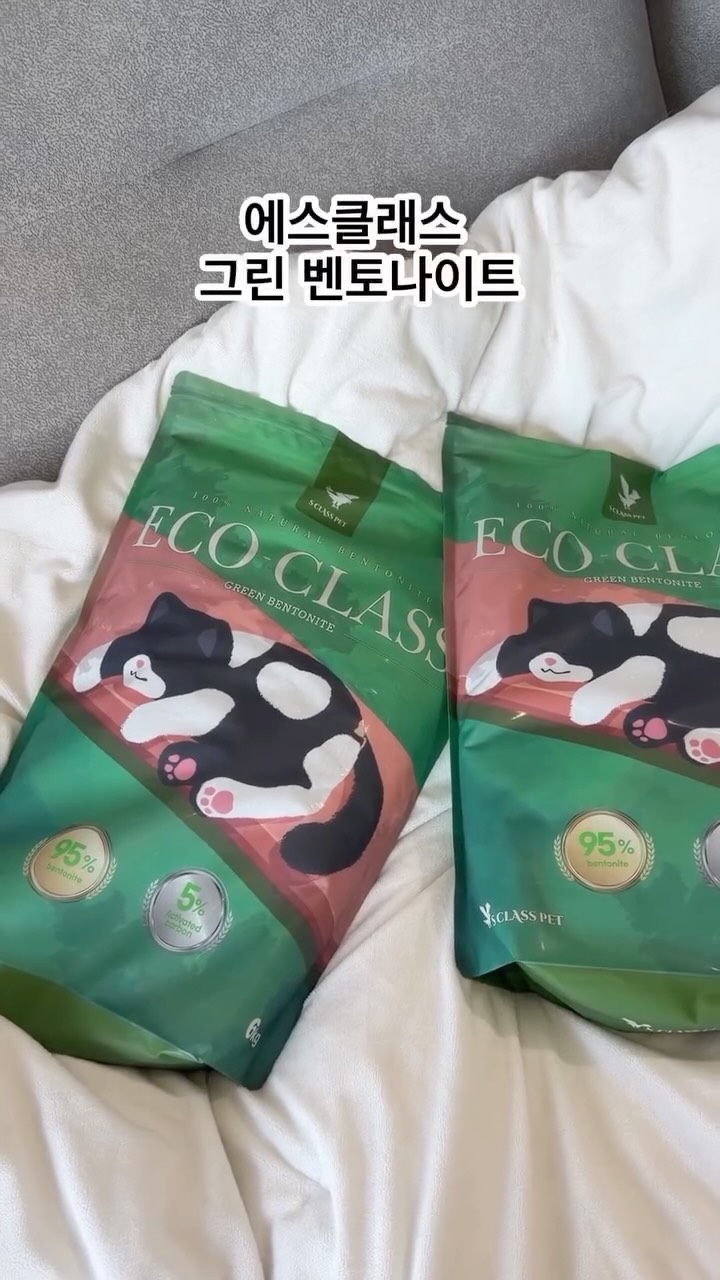 @terry_kiki_이 올린 에스클래스펫 태그 게시물