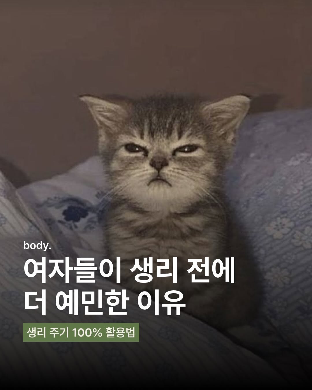 @pranawellness.mag이 올린 해피문데이 태그 게시물