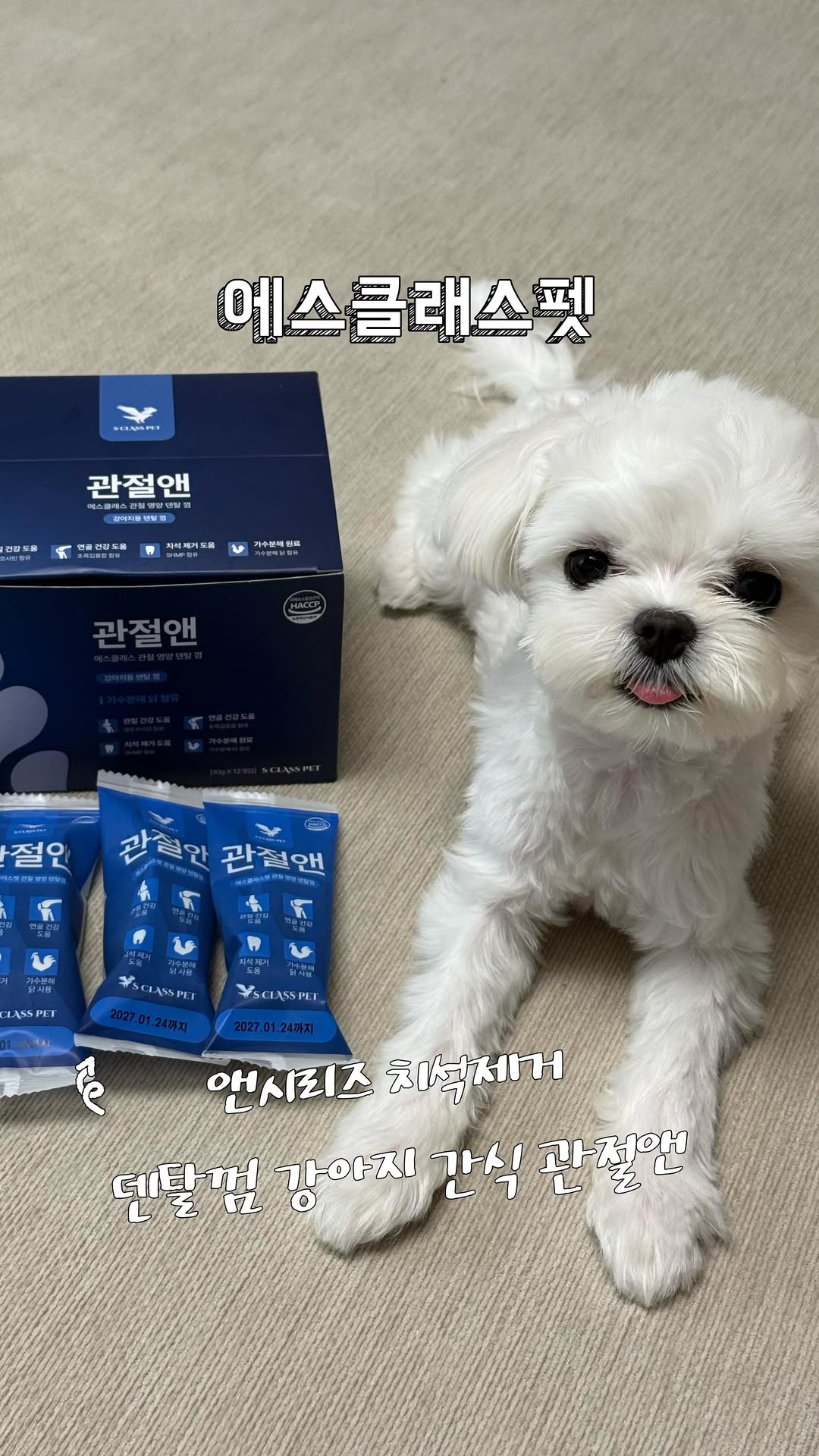 @zzi.yong_zzi.o이 올린 에스클래스펫 태그 게시물