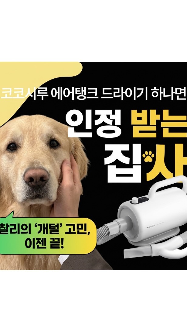 @goldcharlie_이 올린 코코시루 태그 게시물