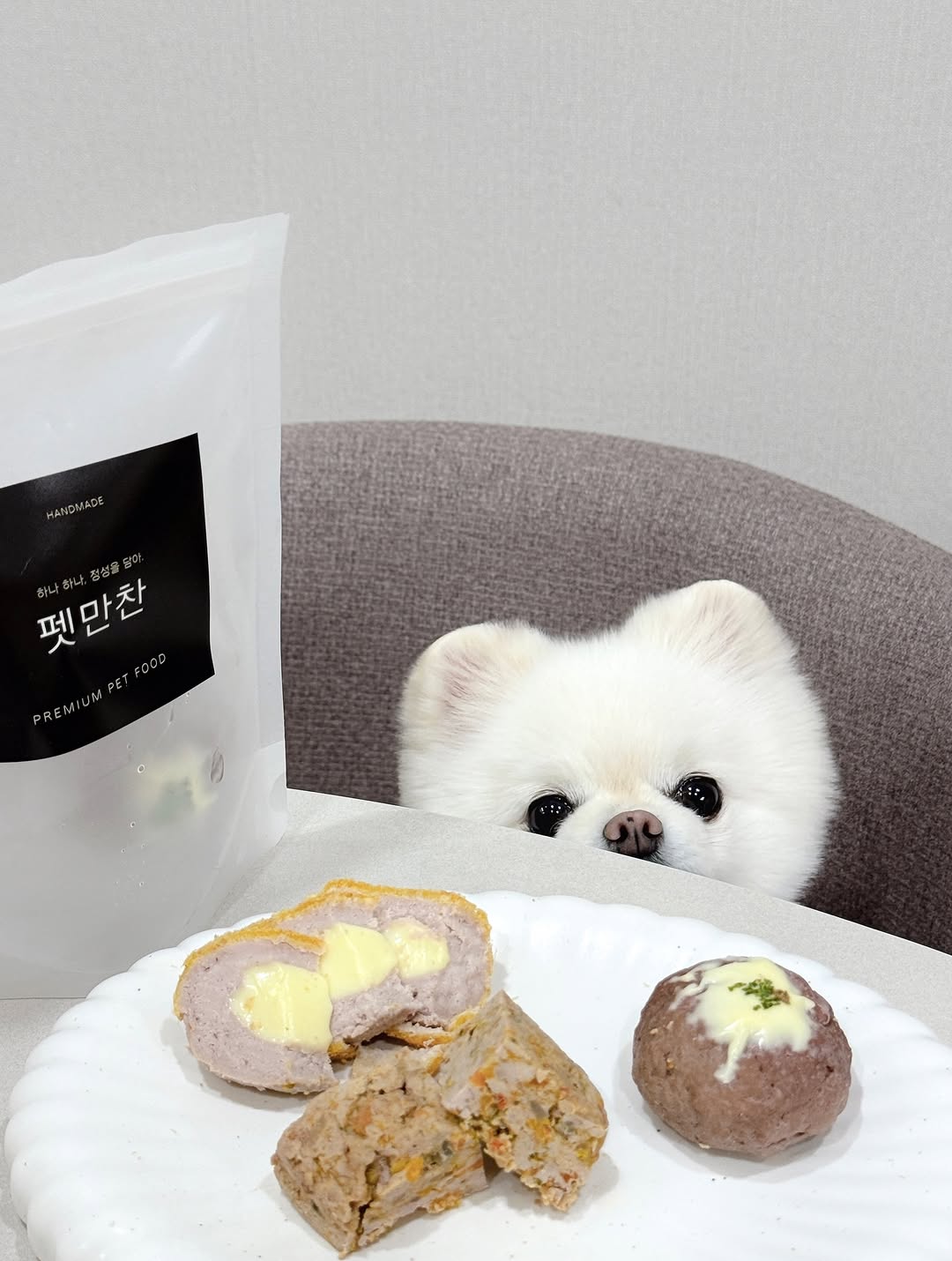 @shy__danbi이 올린 펫만찬 태그 게시물