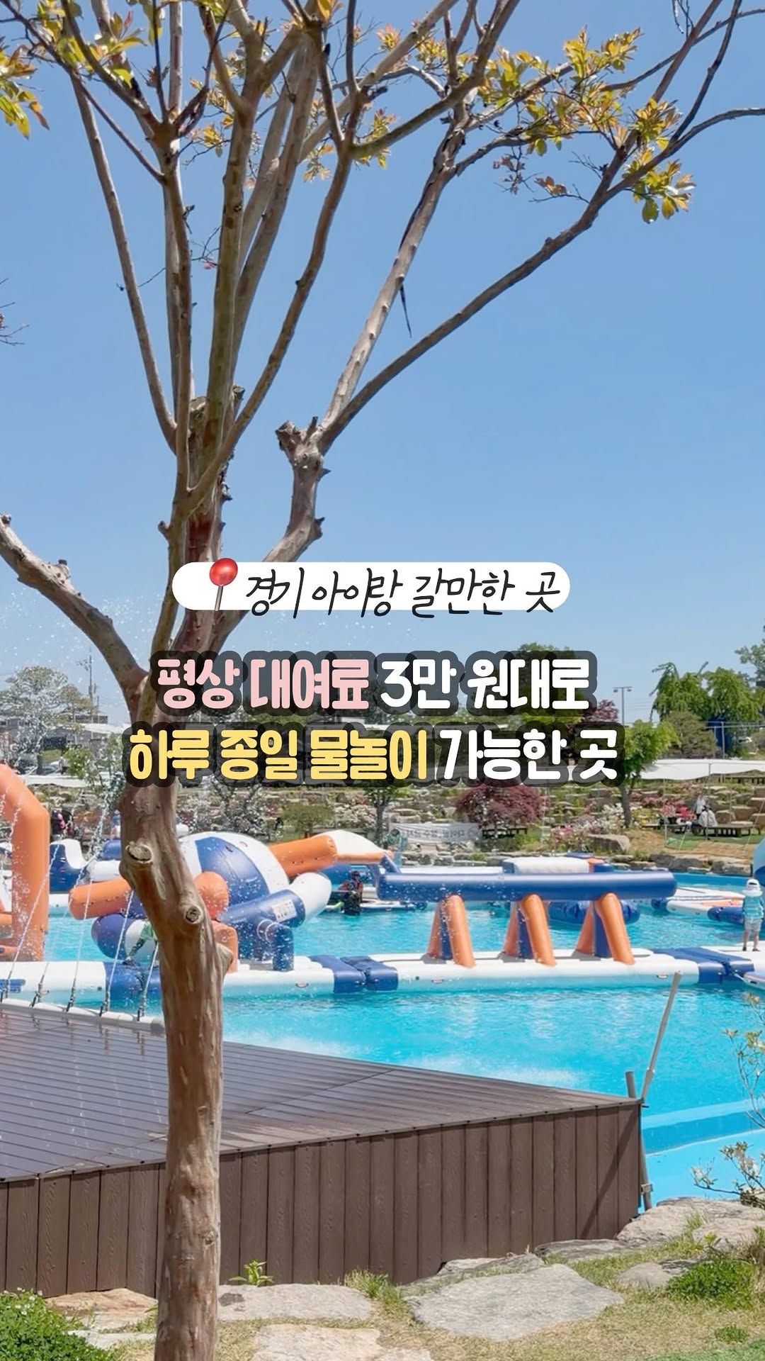 @babyparkzei이 올린 동백온실 태그 게시물