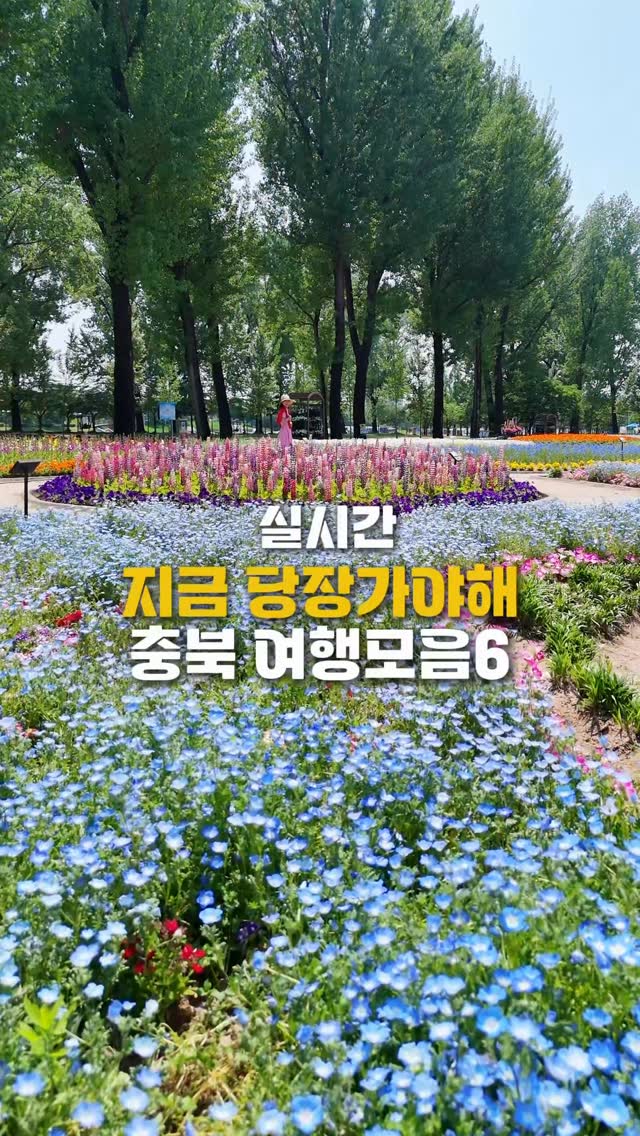 @kimvo97이 올린 증평군청 태그 게시물