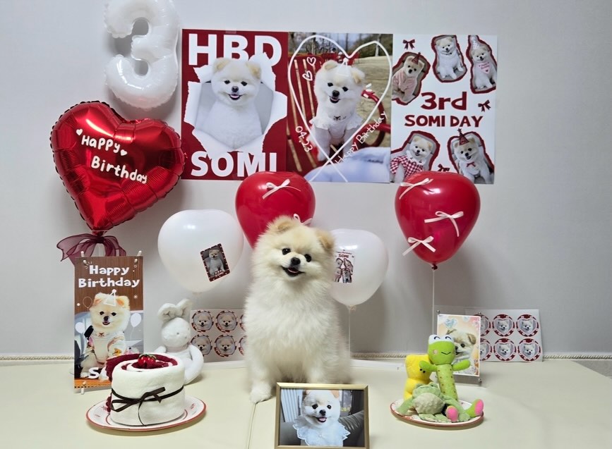 @love559800이 올린 꼬리의유혹 태그 게시물