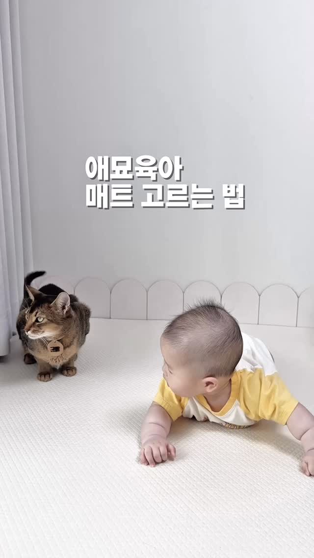 @ddun.gum이 올린 비엔메이드 태그 게시물