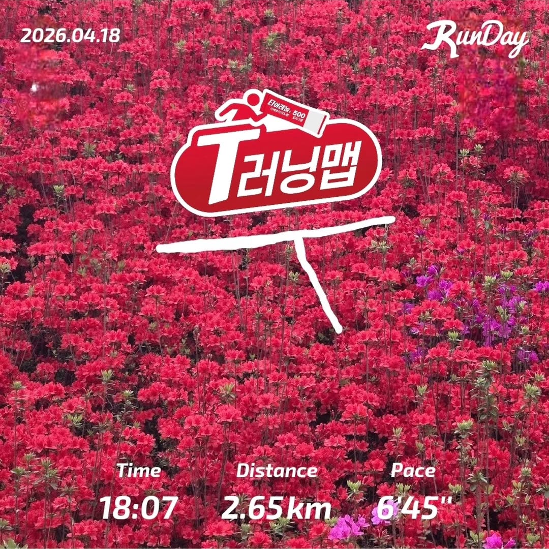 @twotol_zuyeon이 올린 타이레놀 태그 게시물