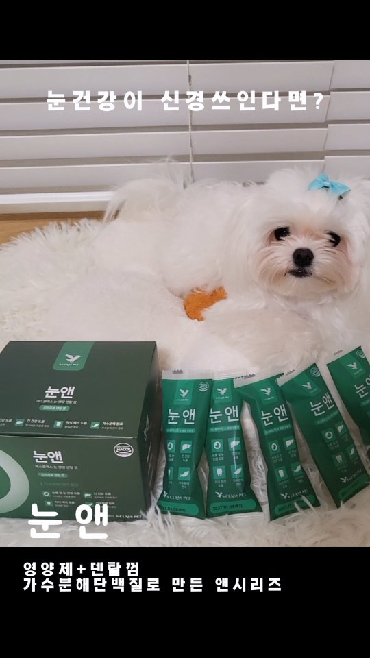 @happy250103이 올린 에스클래스펫 태그 게시물