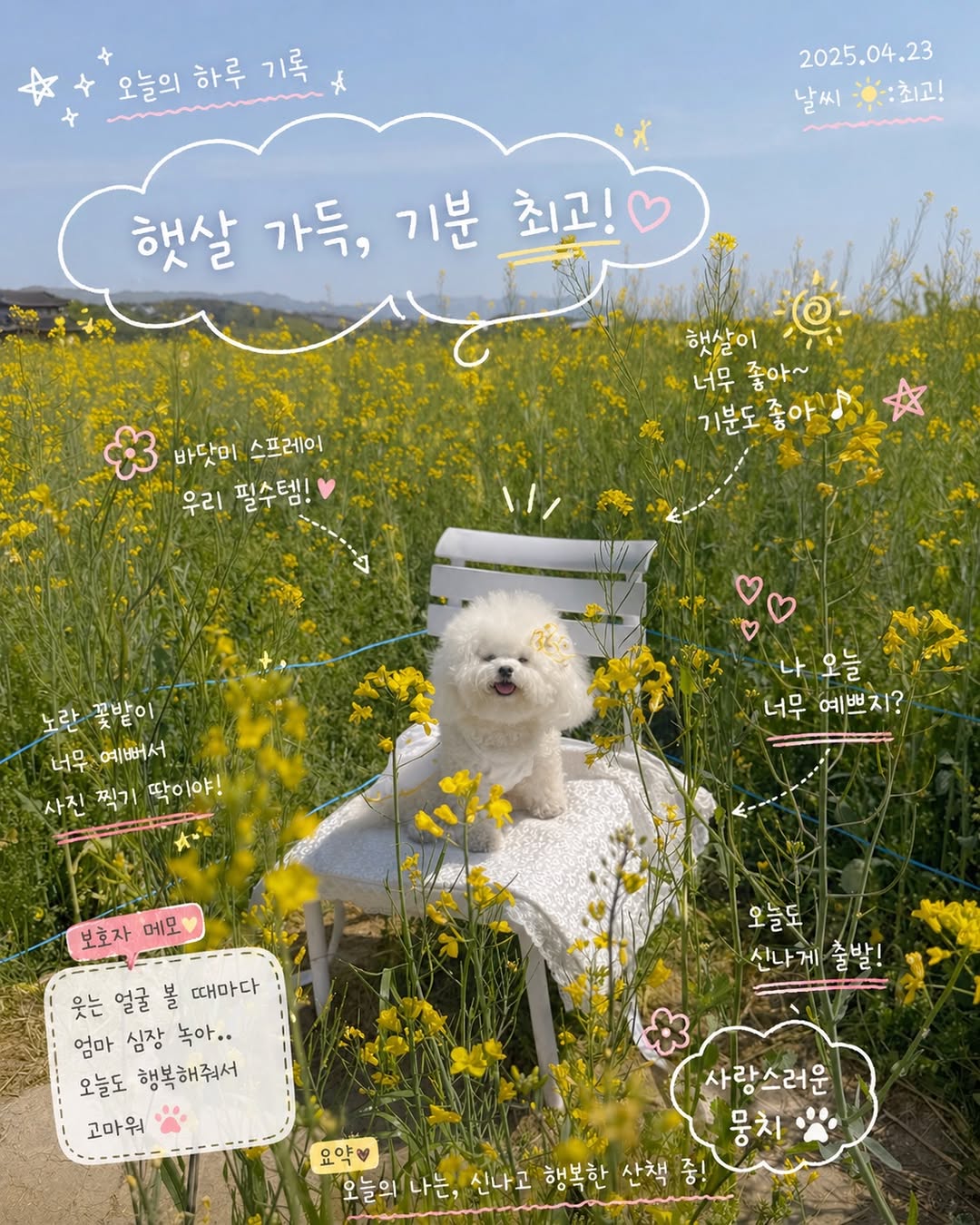 @mozzi__ccomi이 올린 멍트렌드 태그 게시물
