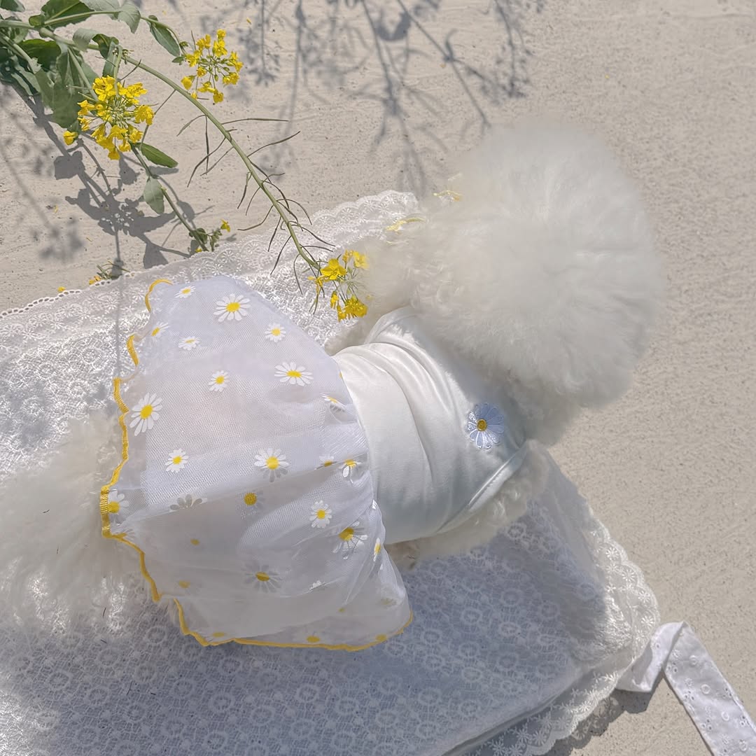 @mozzi__ccomi이 올린 멍트렌드 태그 게시물