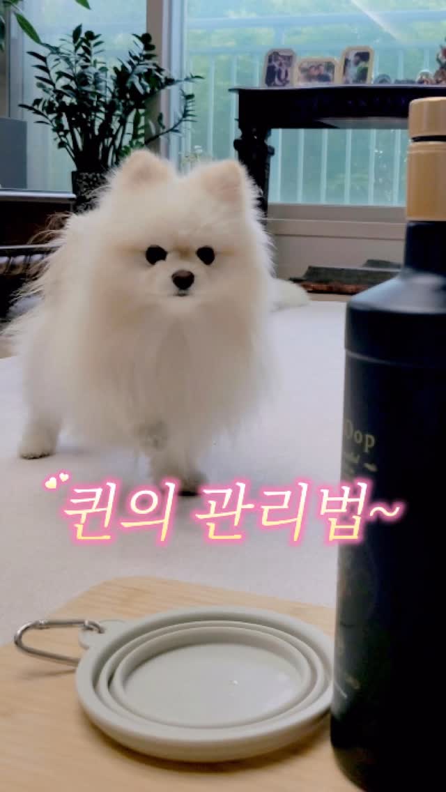@touchqueenruby이 올린 브루아오로 태그 게시물