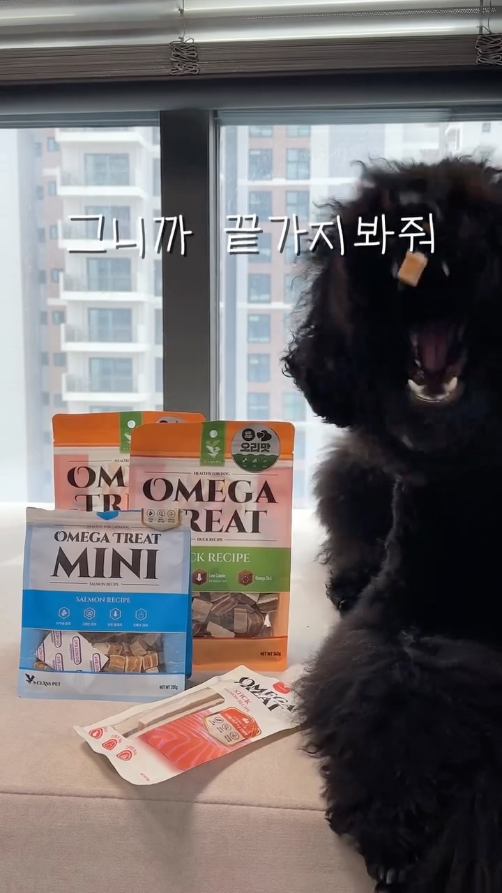 @happybibiworld이 올린 에스클래스펫 태그 게시물