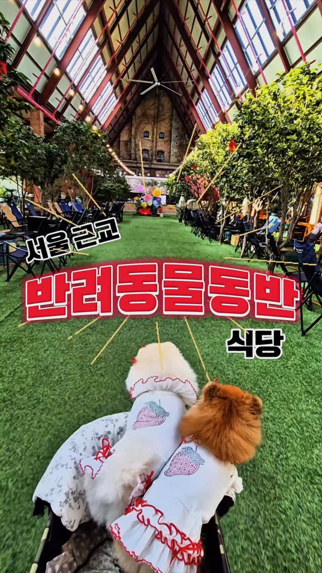 @sun_shine_pom이 올린 동백온실 태그 게시물