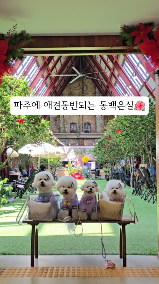 @moong_moong_bro이 올린 동백온실 태그 게시물