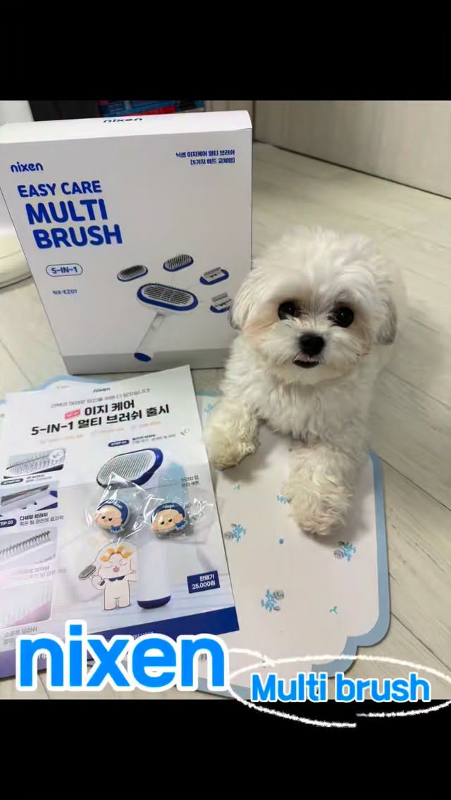 @_kolook_이 올린 닉센 태그 게시물
