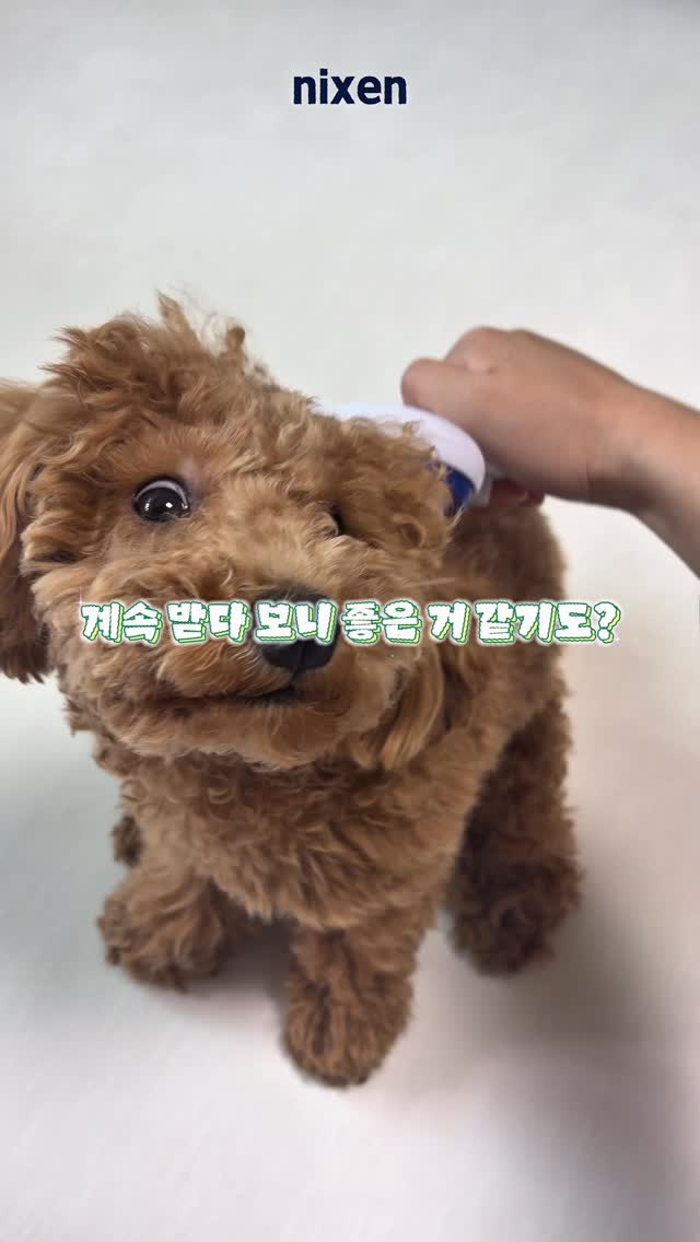 @_ho___du_이 올린 닉센 태그 게시물