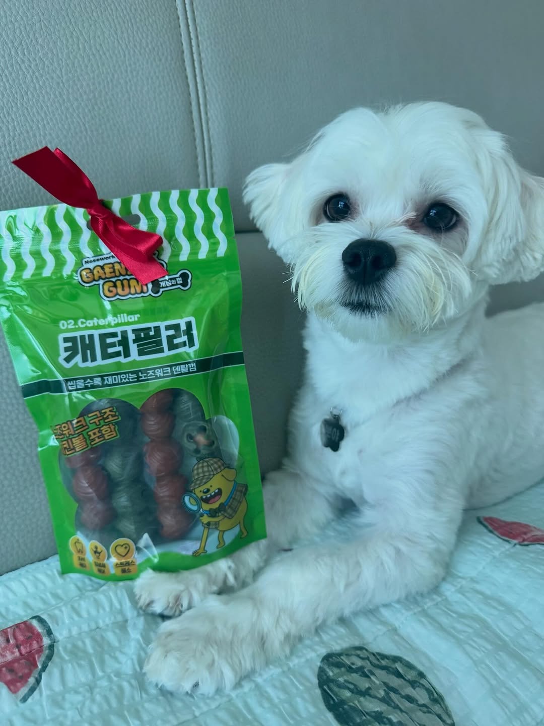 @ppoya_ppo이 올린 피피 태그 게시물