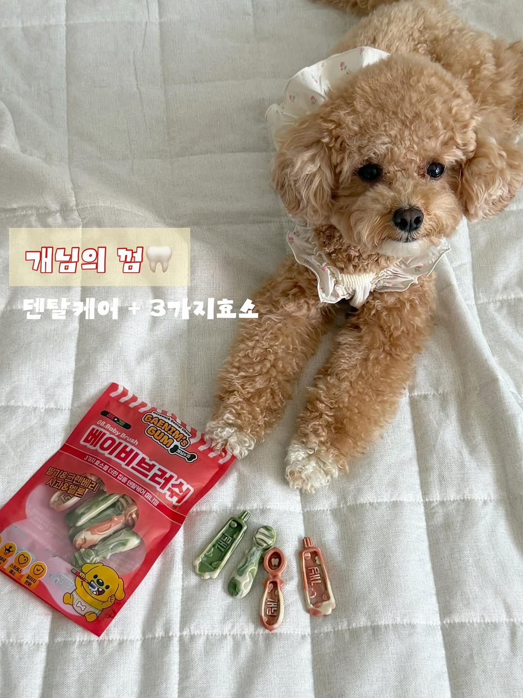 @o___back이 올린 피피 태그 게시물
