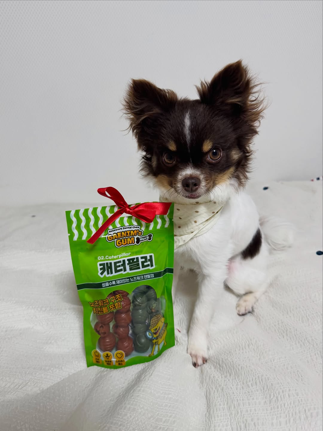 @ggomi__log이 올린 피피 태그 게시물