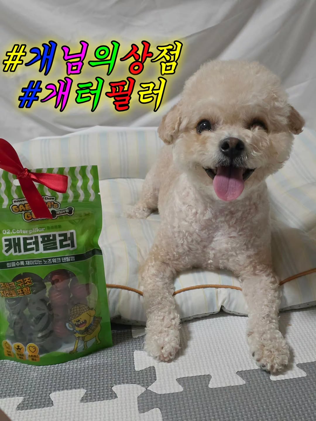 @fly__latte이 올린 피피 태그 게시물