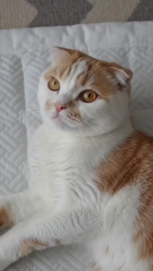 @jinseolhyi5이 올린 더릭스홈 태그 게시물