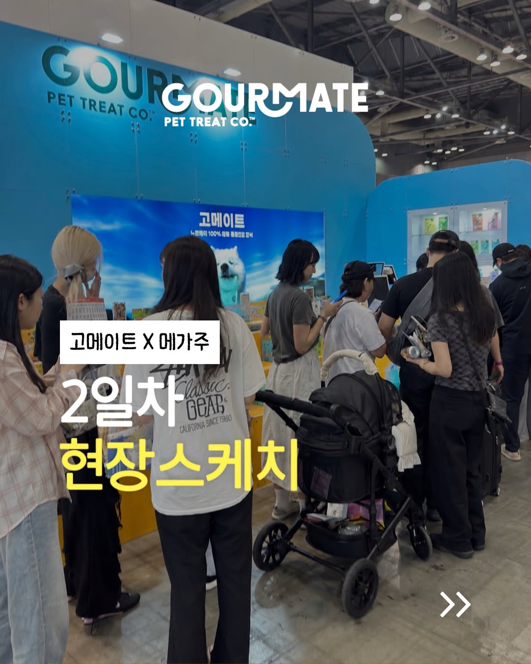 @gourmate.kr이 올린 갈치밥풀7냥이네 태그 게시물