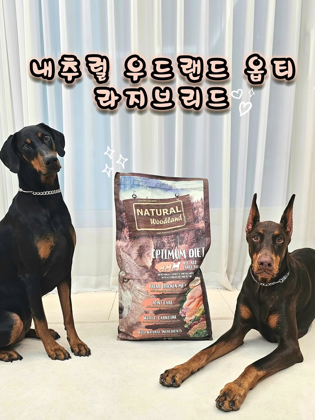 @3_dog____s이 올린 히동이와야옹이네 | 강아지사료 · 애견사료 · 강아지간식 태그 게시물