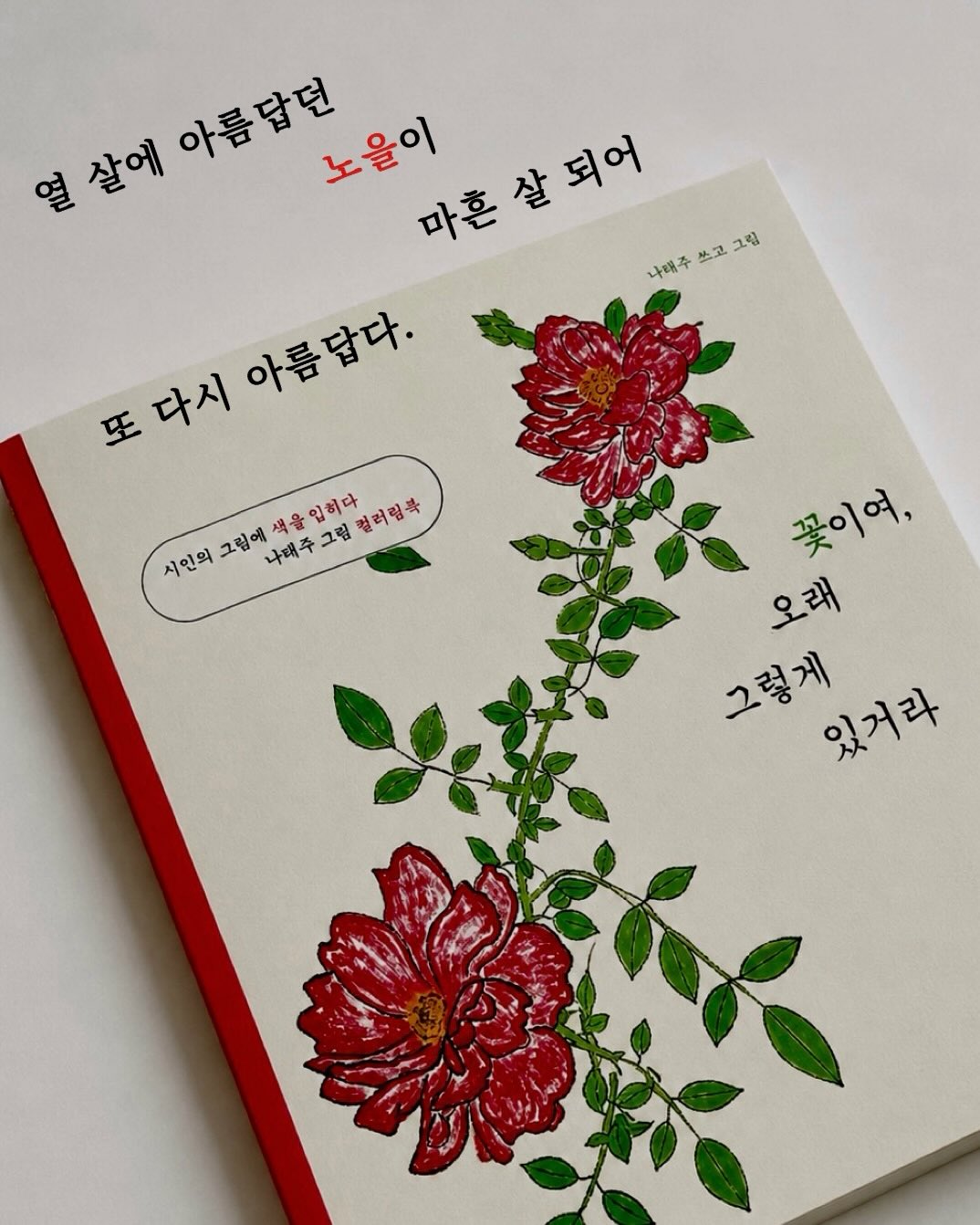 @book_guma이 올린 드림셀러 태그 게시물