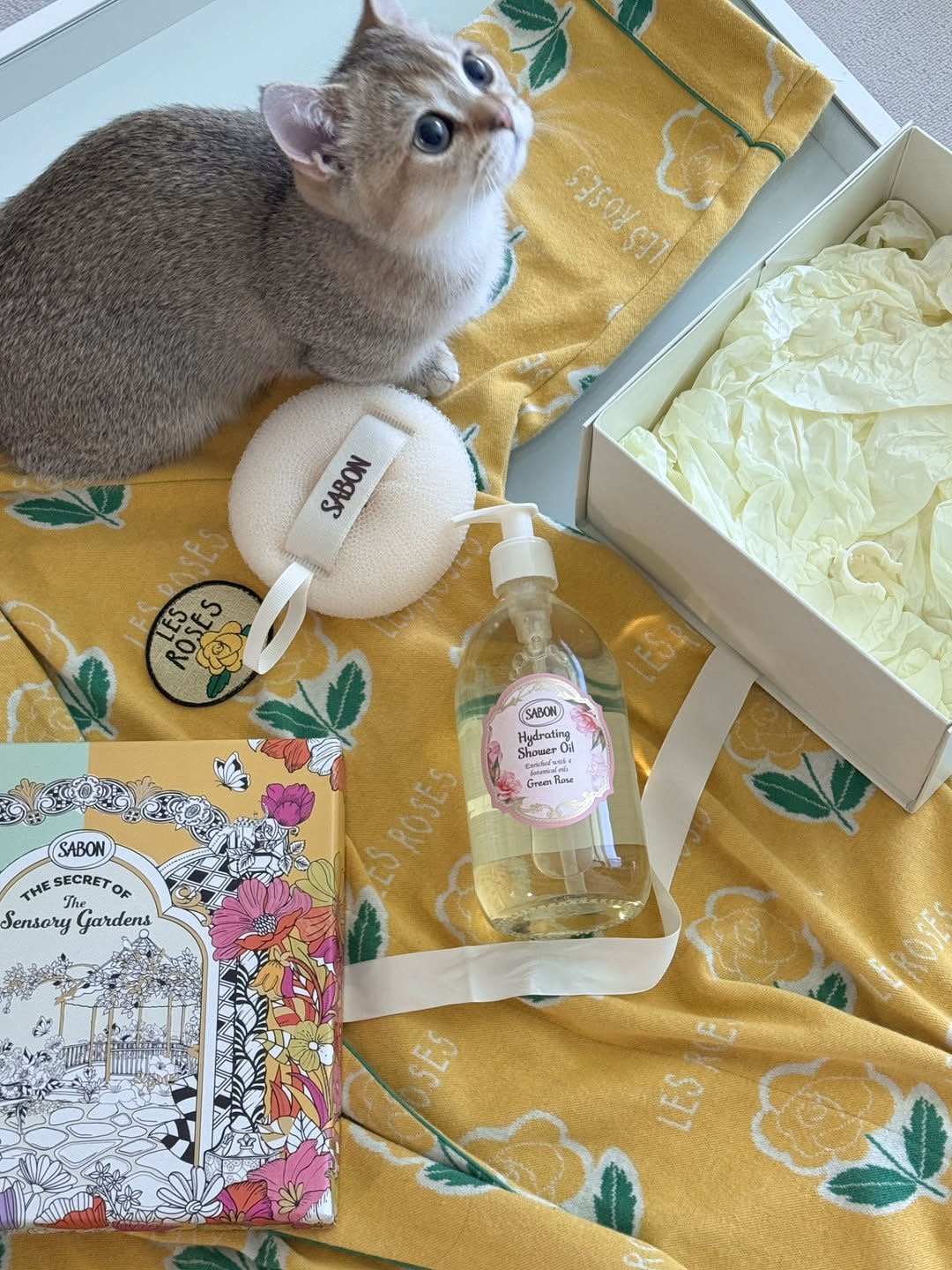 @jjun2_mam이 올린 SABON KOREA 태그 게시물