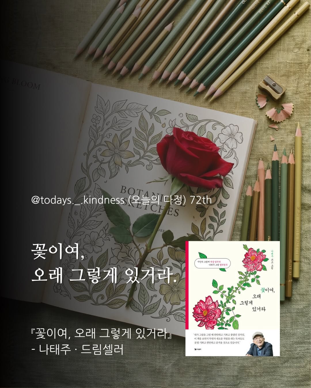 @todays._.kindness이 올린 드림셀러 태그 게시물