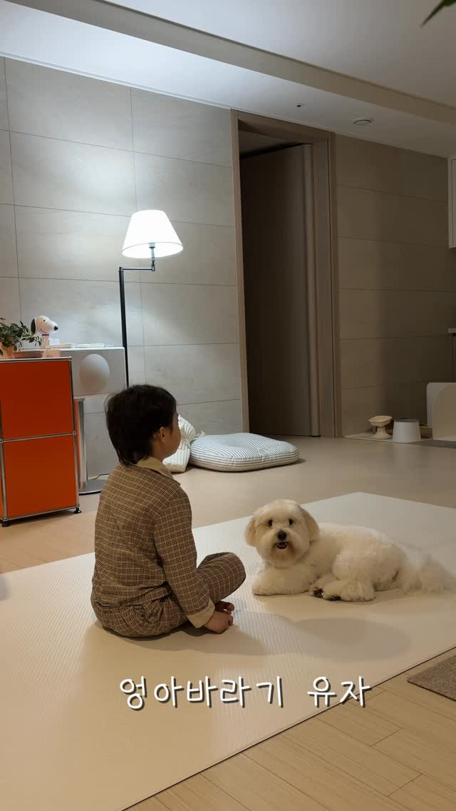 @coton_yuza이 올린 비엔메이드 태그 게시물
