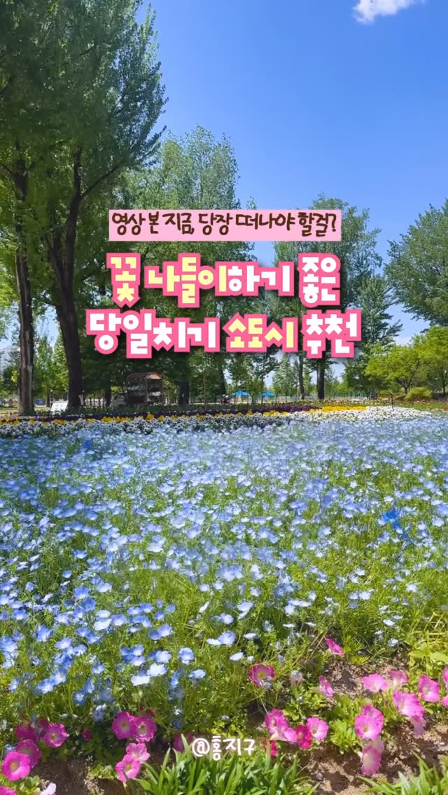 @jigu_archive이 올린 증평군청 태그 게시물