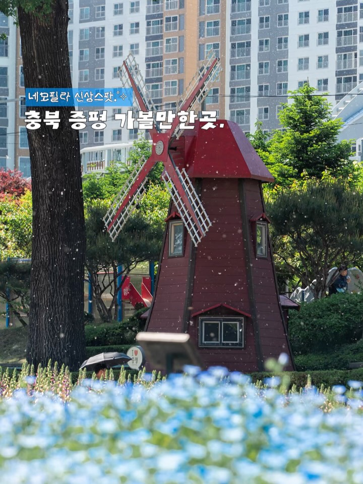 @nalnal_diary이 올린 증평군청 태그 게시물