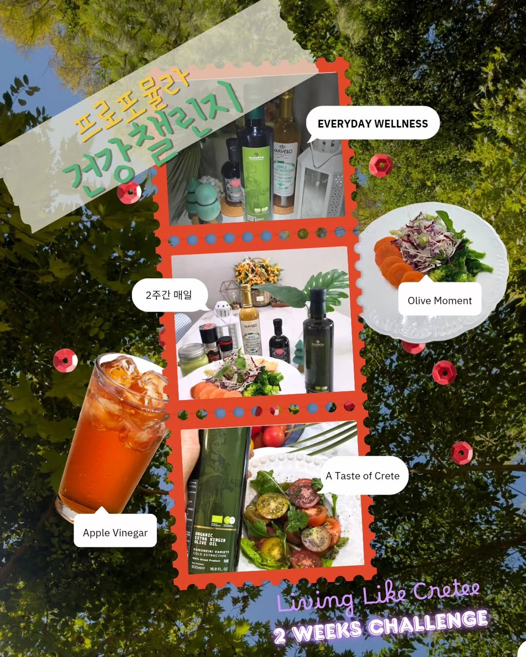 @artplanner_moon이 올린 푸로포뮬라 태그 게시물