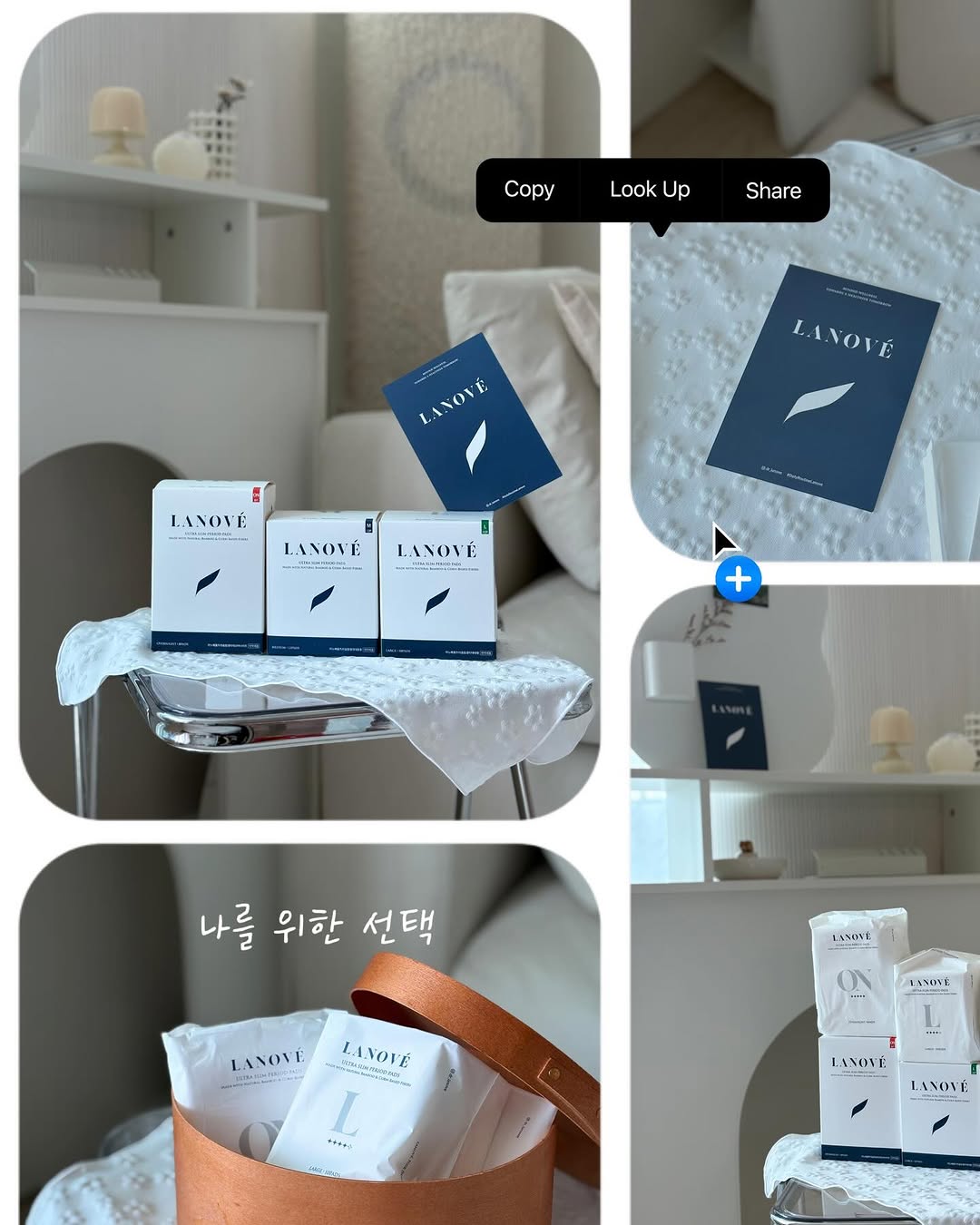 @chae.dong이 올린 라노베 태그 게시물