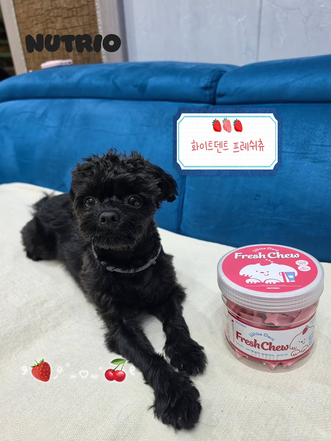 @ulkkang_max이 올린 뉴트리오 태그 게시물