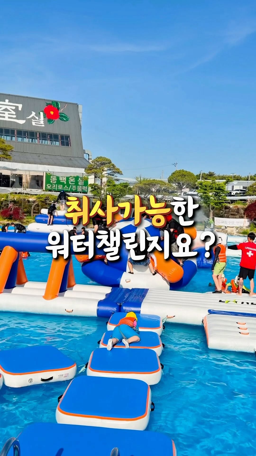 @icanddoit이 올린 동백온실 태그 게시물