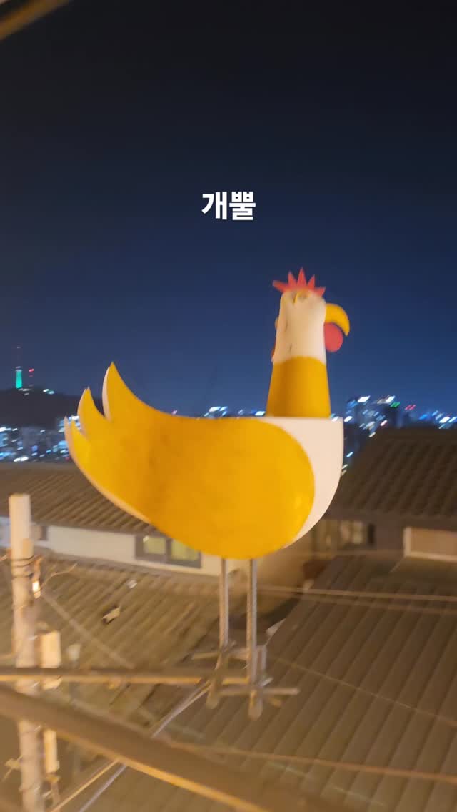 @vivian_kstar이 올린 레이지랑 로컬여행 해외여행 태그 게시물